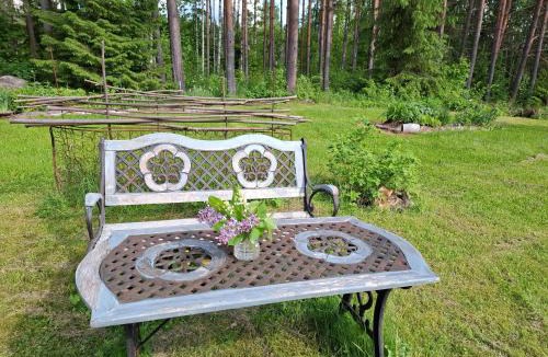 Savonlinna House | Ahopelto