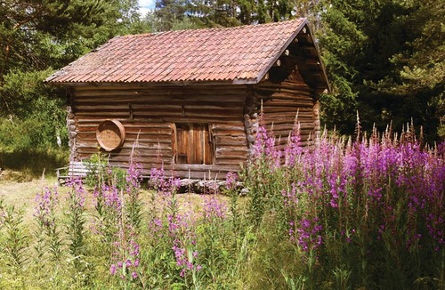 Orsa House | Alpine hut and storehouse (25 m²) close to the wilderness, Orsa Bear Park and cultural/musical activ