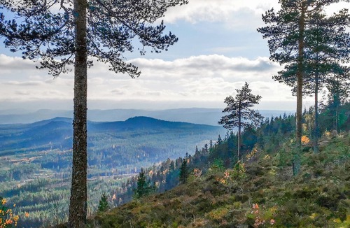 Alvdalen Apartment | Amazing apartment in älvdalen