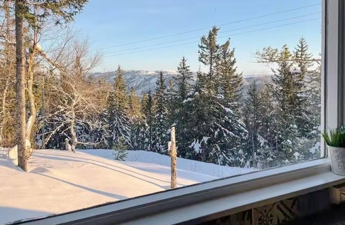 B House | Amazing home in Bø i Telemark with sauna