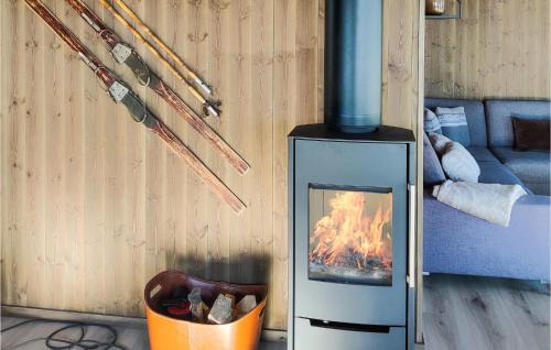 Øvre Ramse House | Amazing Home In Dølemo With Sauna