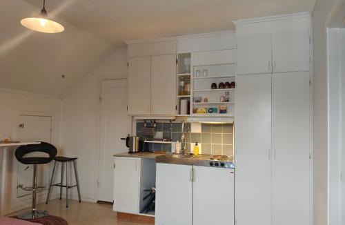 Umea Apartment | Anna Josefinas Stay-Mysig vindsstudio nära Centralstationen