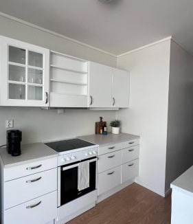 Henningsvaer Apartment | Apartment Elisabeth at Fiskekrogen