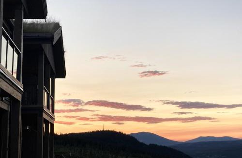 Gol Apartment | Apartment in Gol Skisenter