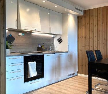 Gol Apartment | Apartment in Gol Skisenter