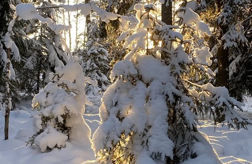 Jarna Apartment | Apartment near South Stockholm Golf Course in Kallfors, Järna