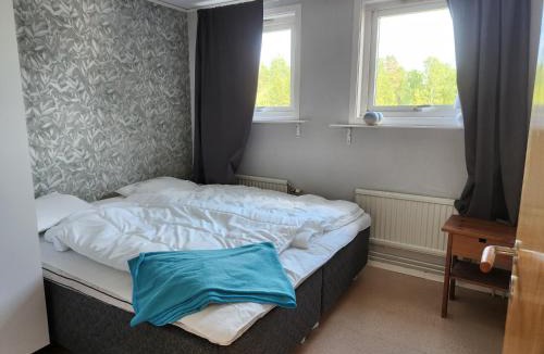 Savsjostrom Apartment | Apartment with some lake view