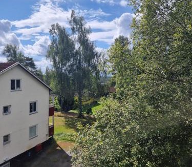 Savsjostrom Apartment | Apartment with some lake view