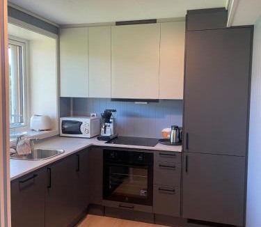 Hermansverk Apartment | Appartment Leikanger