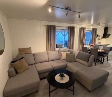 Tromso Apartment | Arctic apartment Tønsvik