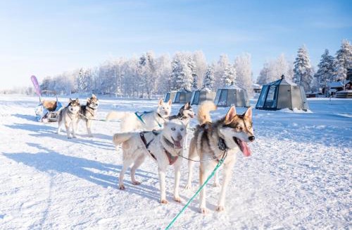 Ranua Hotel | Arctic Guesthouse