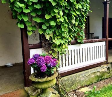 Tosteberga Apartment | Artist eremitage Leonora - Historic schoolhouse apartment
