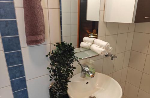 Valkeakoski Apartment | As 8 Viima inc Sauna