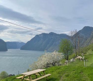 Aurland Apartment | Aurland Stegastein Apartment