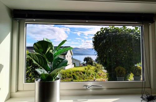 Tromso House | Aurora rooms in shared apartment nr1 We are doing privet northen light trip, reindeer trip and sommaroy Fjord trip