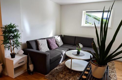 Tromso House | Aurora rooms in shared apartment nr2 We are doing privet Northen lights trips, reindeer trip and Fjord sommaroy trip