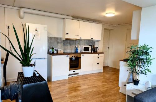 Tromso House | Aurora rooms in shared apartment nr2 We are doing privet Northen lights trips, reindeer trip and Fjord sommaroy trip