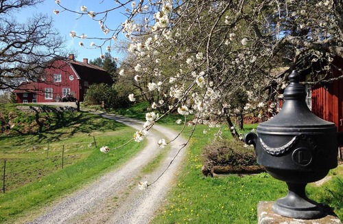 Gusum House | Awesome home in Gusum with sauna