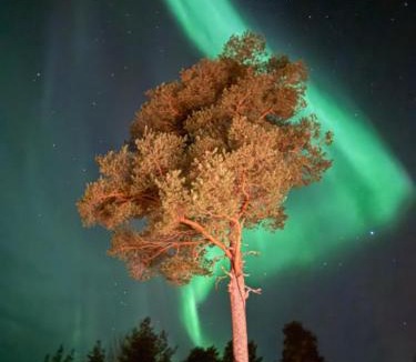 Sorsele Hostel | Backens Gästhem