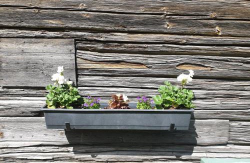 Tallberg Apartment | Backhansgården I Plintsberg
