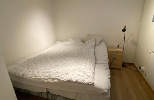 Vaxjo House | Barnvänlig lägenhet nära sjön