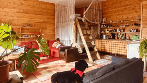 Mikkeli Apartment | BB Polle - with the horse view