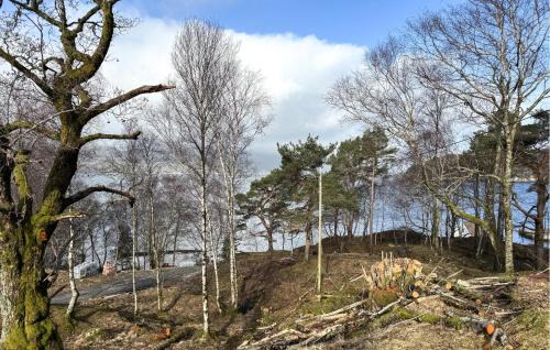 Vindafjord House | Beach Front Home In Vikebygd With Wifi