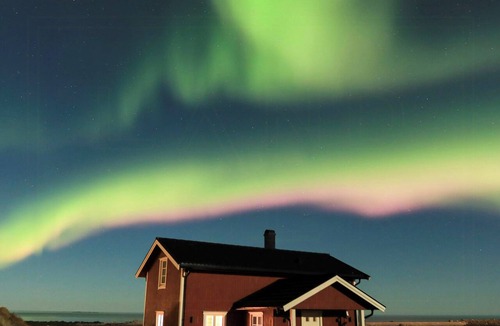 Lofoten Islands House | Beautiful cabin embraced by rich wildlife