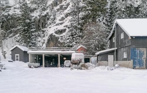 Namsos House | Beautiful Home In Namsos With Wifi