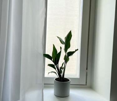 Kamppi Apartment | Beautiful & Peaceful City Apartment in the Heart of Helsinki