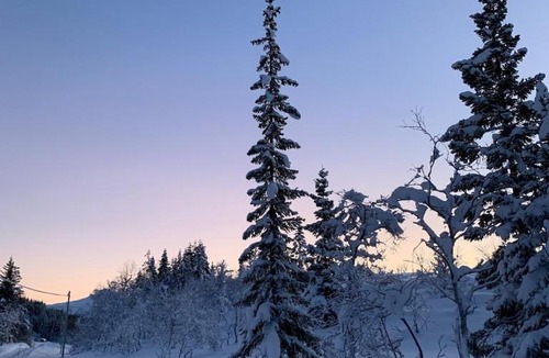 Knarrvika House | Bergnes Lodge