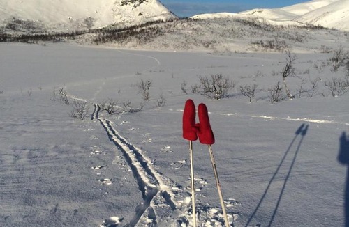 Knarrvika House | Bergnes Lodge