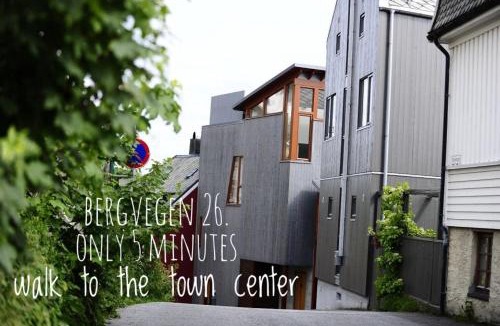 Alesund Apartment | Bergvegen Guesthouse Aalesund
