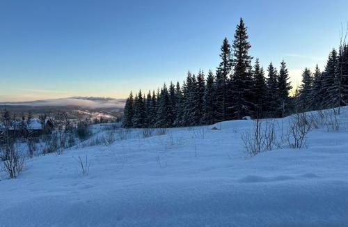 Gol Apartment | Best summer deals! Beat the heat! Beautiful Apartment at Skagahøgdi with Panoramic View