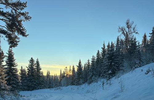 Gol Apartment | Best summer deals! Beat the heat! Beautiful Apartment at Skagahøgdi with Panoramic View