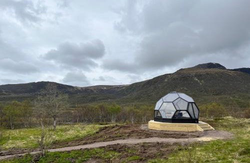 Bo Municipality House | Bestefarhaugen - The cozy house on the hill - with a dome