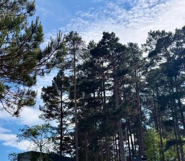 Stord Other | Birdbox Forland