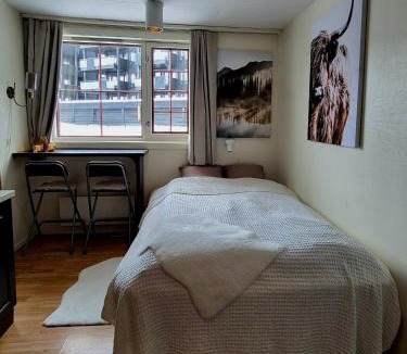 Beitostolen Apartment | Bitihorn