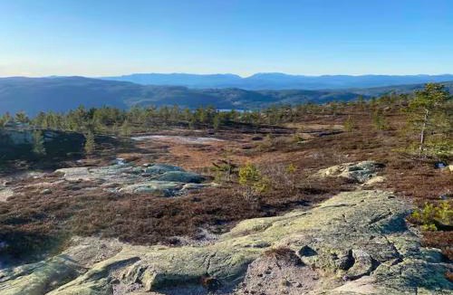 Bolkesjo Ski Chalet | Blefjell hytte med fantastisk utsikt