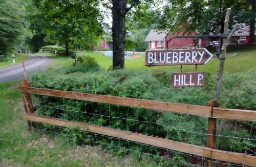 Orkelljunga Municipality House | Blueberry Hill