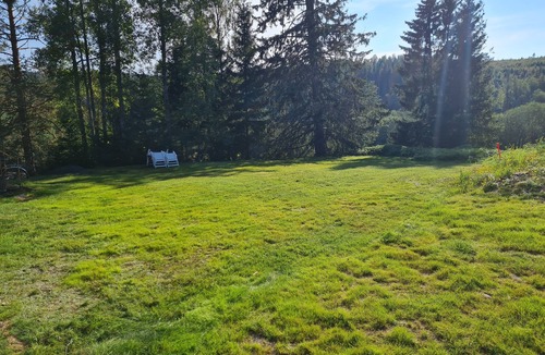 Skog House | Bright and spacious living in historic building