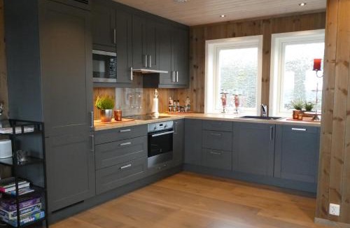 Kamben Apartment | Bualie Golsfjellet Ski-in Ski-out High Standard Biking Fishing and Hiking