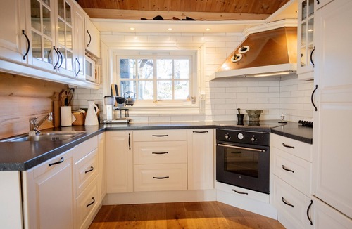 Hol Municipality Cottage | Budalen, spacious cabin close to skitracks
