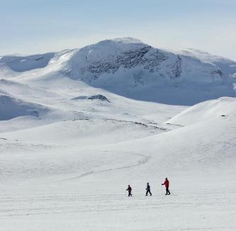 Vaga Municipality Hotel | Bygdin Høyfjellshotell