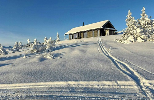 Fla Municipality House | Cabin by cross-country trails near Høgevarde