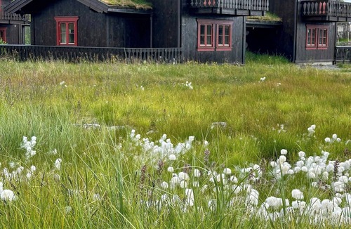 Kroderen House | Cabin by main ski trail at Norefjell
