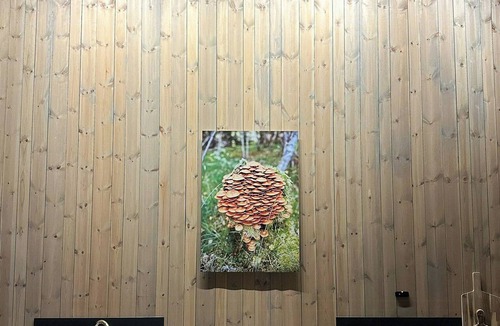 Luster House | Cabin embraced by extrairdinary nature