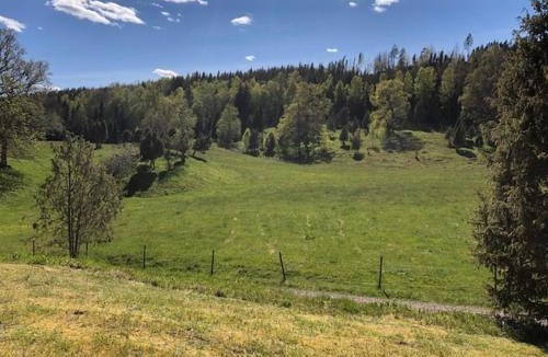 Bottnaryd House | Cabin in deer enclosure, lake nearby-