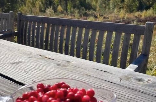 Rauland House | Cabin in Rauland near fishing, hiking and skiing
