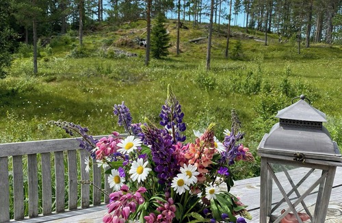 Rauland House | Cabin in Rauland near fishing, hiking and skiing